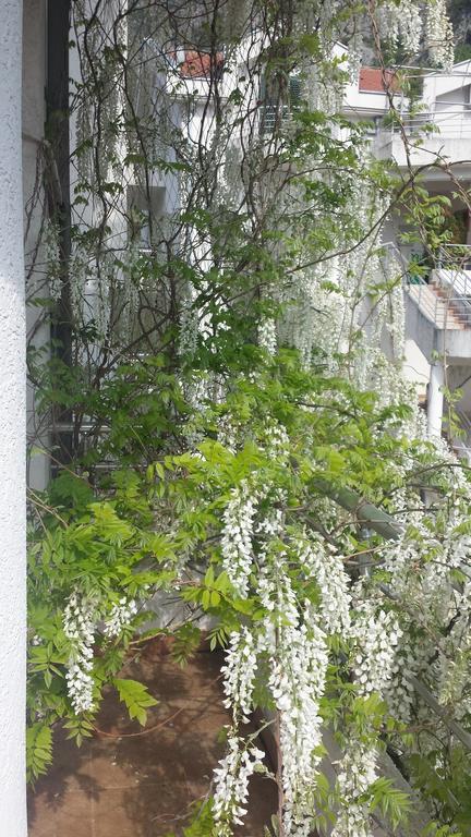 Roman Gardens Studio Apartment Risan Exterior foto